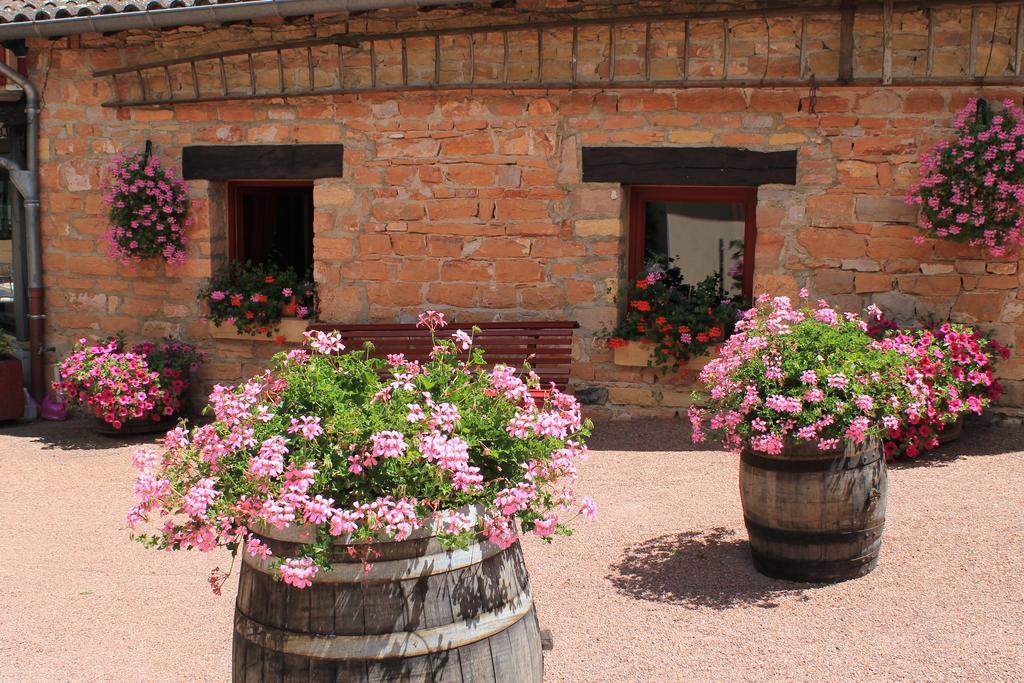 Hotel Restaurant Le Moulin De Saint Verand Exterior photo