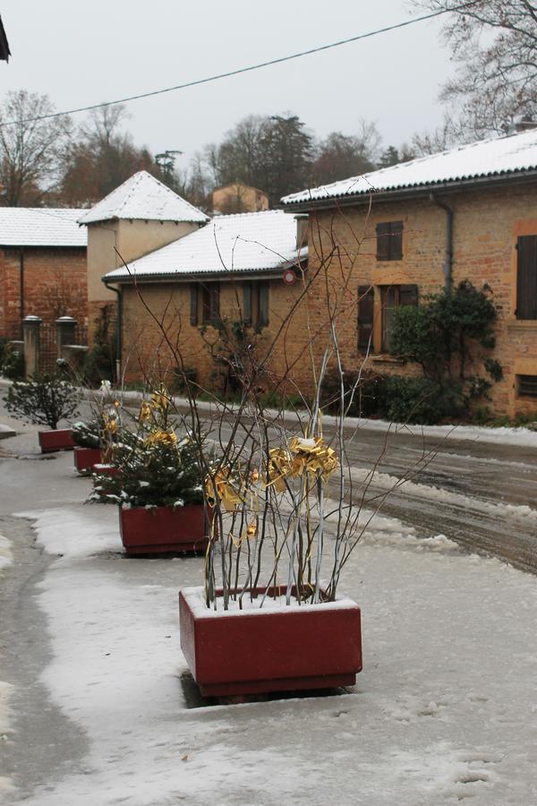 Hotel Restaurant Le Moulin De Saint Verand Exterior photo